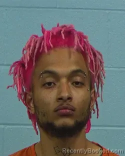 Mugshot of Quinton Eli Johnson booked in Williamson County, Texas on March 13, 2026