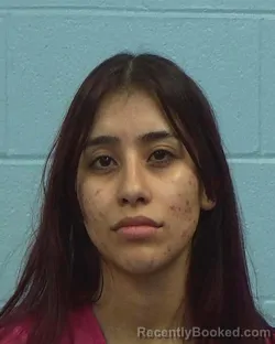 Mugshot of Diana Julisse Preciado-Pelayo booked in Williamson County, Texas on March 14, 2026