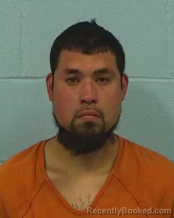 Mugshot of Daniel Palacios booked in Williamson County, Texas on March 16, 2026