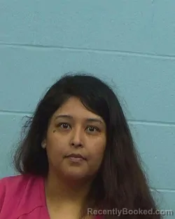 Mugshot of Gina Marie Hernandez booked in Williamson County, Texas on March 16, 2026