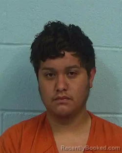 Mugshot of David Fuentes booked in Williamson County, Texas on March 16, 2026