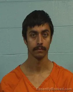 Mugshot of Alexis Agustin Suarez booked in Williamson County, Texas on March 16, 2026