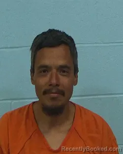 Mugshot of Israel Tavira booked in Williamson County, Texas on March 17, 2026