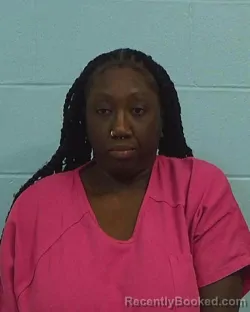 Mugshot of Cammie Alicia Loper booked in Williamson County, Texas on March 17, 2026