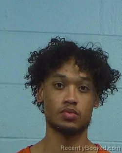 Mugshot of Adonis Cragg booked in Williamson County, Texas on March 17, 2026