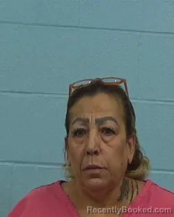 Mugshot of Dahil Lasarte-Alvarez booked in Williamson County, Texas on March 17, 2026