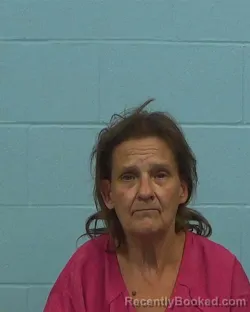 Mugshot of Barbara Ann Stinson booked in Williamson County, Texas on March 17, 2026