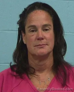 Mugshot of KRISTIE ANN LEARY booked in Williamson County, Texas on March 17, 2026