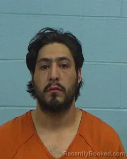 Mugshot of Stephen Michael Dominguez booked in Williamson County, Texas on March 18, 2026