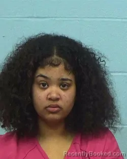 Mugshot of Brianna Lucille Lunce booked in Williamson County, Texas on March 18, 2026