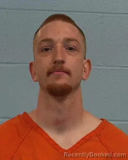 Mugshot of Elijah Richard Wilson booked in Williamson County, Texas on March 20, 2026