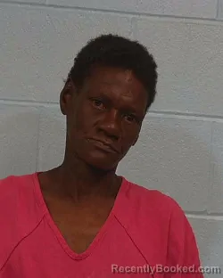 Mugshot of Brenda Belinda Brownlow booked in Williamson County, Texas on March 21, 2026