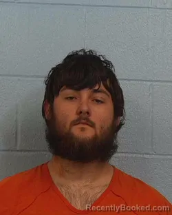 Mugshot of Bryan Justin Lewis booked in Williamson County, Texas on March 21, 2026