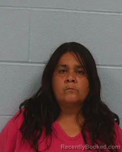 Mugshot of Lucy Arevalo Abundiz booked in Williamson County, Texas on March 21, 2026