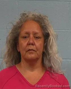 Mugshot of Senaida Salinas Bernardo booked in Williamson County, Texas on March 22, 2026