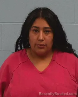 Mugshot of Dora Stephanie Garcia booked in Williamson County, Texas on March 22, 2026