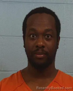 Mugshot of Toyin Tega Ehiman booked in Williamson County, Texas on March 23, 2026