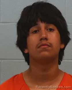 Mugshot of Oscar Ray Villa booked in Williamson County, Texas on March 23, 2026