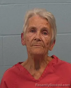 Mugshot of Dolores Carol Abbott booked in Williamson County, Texas on March 23, 2026
