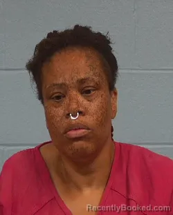 Mugshot of Brittney R. Connor booked in Williamson County, Texas on March 24, 2026