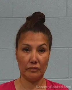 Mugshot of Ingrid Jade Grant booked in Williamson County, Texas on March 24, 2026