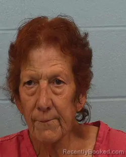 Mugshot of Susan Gail Polasek booked in Williamson County, Texas on March 24, 2026