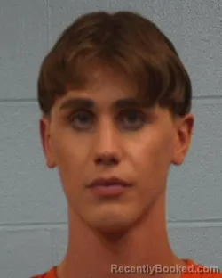 Mugshot of Blake Anthony Siegel booked in Williamson County, Texas on March 24, 2026