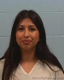 Mugshot of Madalynn Love Wechsler booked in Williamson County, Texas on March 25, 2026