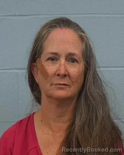 Mugshot of FONDA T Tomlinson booked in Williamson County, Texas on March 25, 2026