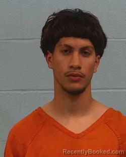 Mugshot of Bryan Jadiel Fornes-Morales booked in Williamson County, Texas on March 25, 2026