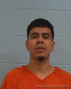 Mugshot of Bryan Nava-Catzin booked in Williamson County, Texas on March 26, 2026