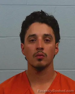 Mugshot of Jo'Derick Gonzales booked in Williamson County, Texas on March 27, 2026