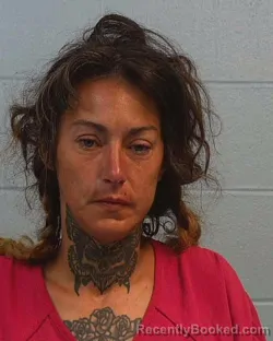 Mugshot of Sasha Lee Odle booked in Williamson County, Texas on March 28, 2026