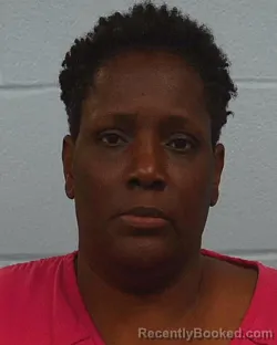 Mugshot of ROCHELLE S MINNIEFIELD booked in Williamson County, Texas on March 28, 2026