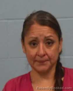 Mugshot of STEPHANIE RAE SILGUERO booked in Williamson County, Texas on March 28, 2026