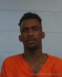 Mugshot of Remond Reeshon Williams booked in Williamson County, Texas on March 28, 2026