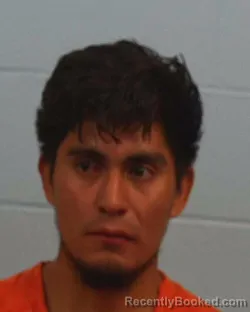 Mugshot of Jevblin Castillo booked in Williamson County, Texas on March 28, 2026