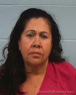 Mugshot of Jaramillo Eloisa Duarte booked in Williamson County, Texas on March 28, 2026