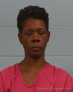 Mugshot of Katrina Sparks booked in Williamson County, Texas on March 29, 2026