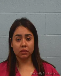 Mugshot of Geraldine Castillo Rodriguez booked in Williamson County, Texas on March 29, 2026