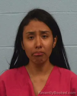 Mugshot of Andrea Vidal booked in Williamson County, Texas on March 29, 2026