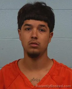 Mugshot of Rodolfo Alvarez booked in Williamson County, Texas on March 30, 2026