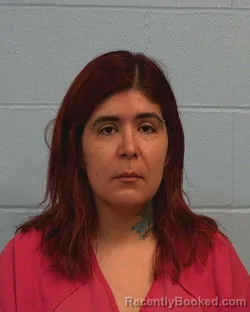 Mugshot of Vanessa Anelie Sullivan booked in Williamson County, Texas on March 30, 2026