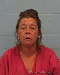 Mugshot of Cessnia Haney booked in Williamson County, Texas on April 1, 2026