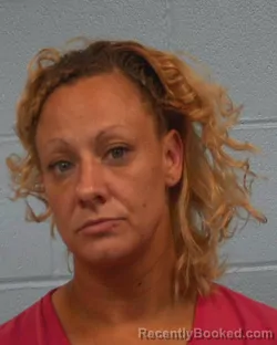 Mugshot of Laura Ann Roy booked in Williamson County, Texas on April 2, 2026