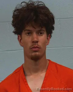 Mugshot of Jordan Blake Skinner booked in Williamson County, Texas on April 2, 2026