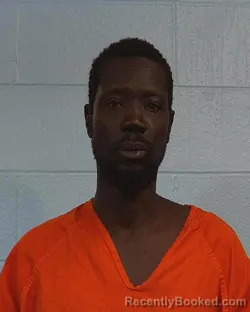 Mugshot of Manday J George booked in Williamson County, Texas on April 2, 2026