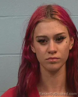 Mugshot of Kailee Jai Anderson booked in Williamson County, Texas on April 2, 2026