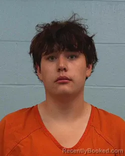 Mugshot of Grady Robert Bermea booked in Williamson County, Texas on April 3, 2026