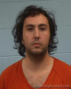 Mugshot of Angelo Salvatore Delouisa booked in Williamson County, Texas on April 4, 2026